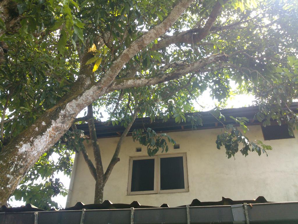 Anne'S Maisonnette Galle Exterior photo