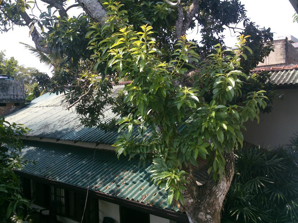 Anne'S Maisonnette Galle Exterior photo